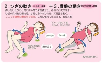 恥骨痛体操　２．膝の動き押し付けた肘と同じ足で床を押すと、自然にお尻が浮き膝が反対側に倒れる。すると身体がひねられて骨盤も動く。