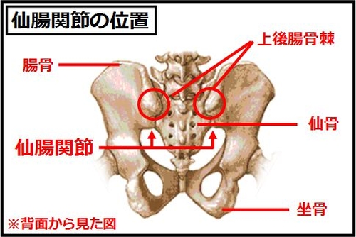 慢性的な腰痛は仙腸関節が原因 そのつらい腰痛の改善方法 志木駅 志木イーバランス整体院