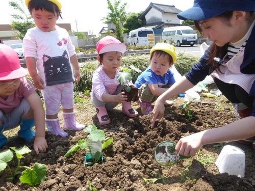 川越小仙波保育園の雰囲気-1