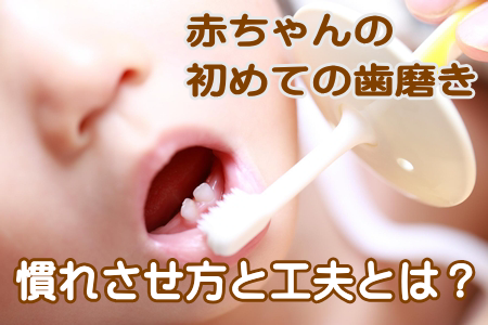 産後の赤ちゃんの歯磨き