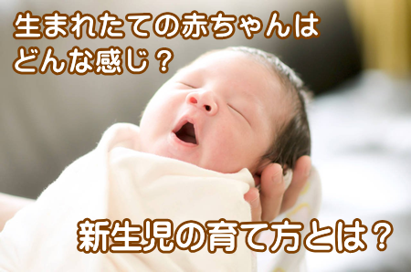 出産 子育て1 生まれたての赤ちゃんはどんな感じ 新生児の育て方とは 志木駅 志木イーバランス整体院