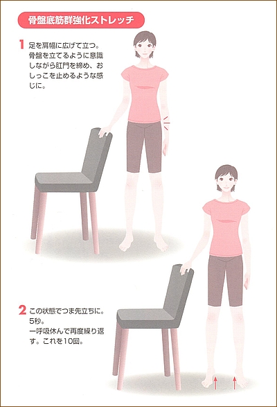 骨盤底筋群のストレッチ