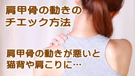 肩甲骨のゆがみの背中のコリ、肩コリや首の痛みのチェック方法
