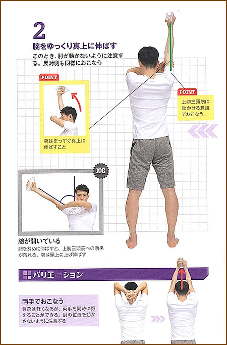 上腕の筋肉 上腕三頭筋 筋トレ12選 と ストレッチ7選 作用 機能も紹介 志木駅 志木イーバランス整体院