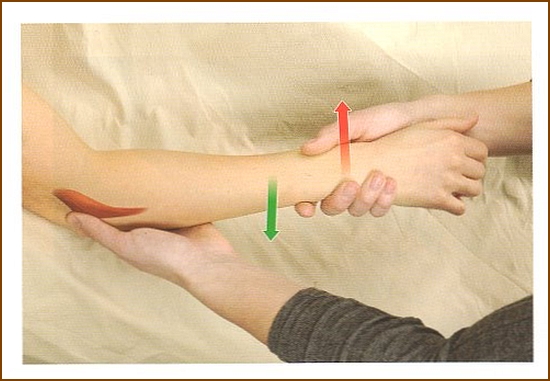 肘筋の触診方法