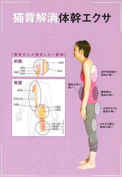 体幹筋トレ集 猫背 反り腰の予防編 志木駅 志木イーバランス整体院