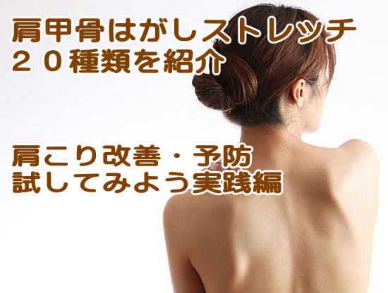 肩甲骨はがし実践編
