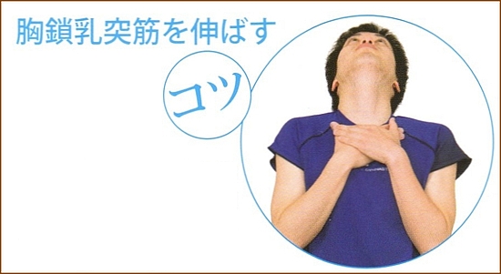 胸鎖乳突筋のストレッチ方法４