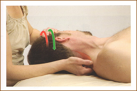頚板状筋の触診