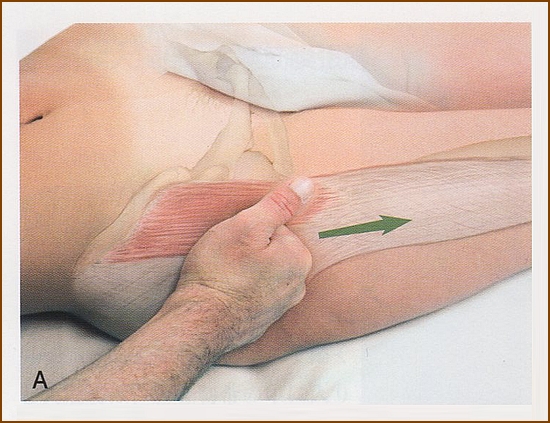 大腿筋膜張筋のほぐし方、マッサージ②