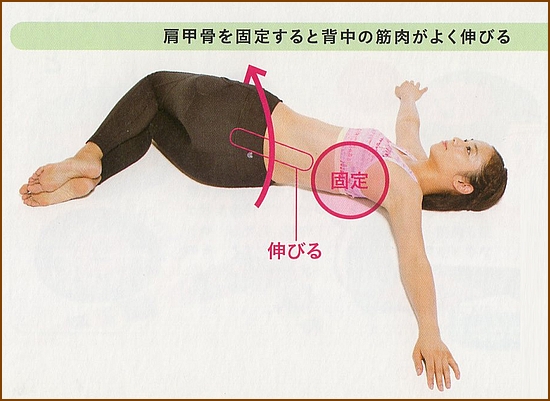 肩甲骨を固定する