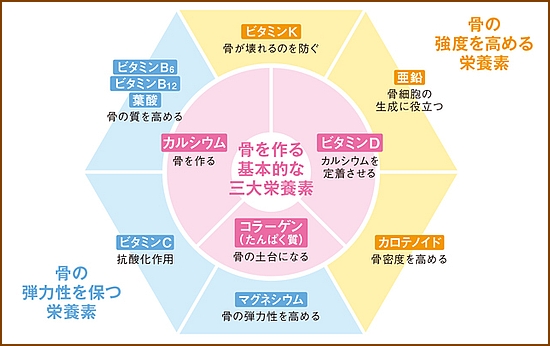 骨栄養素
