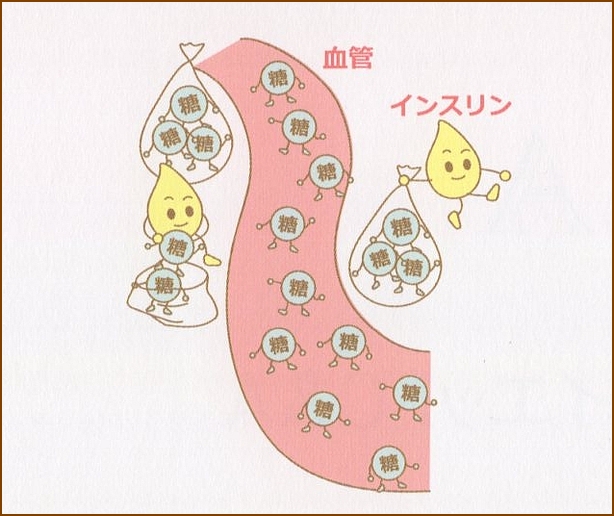 炭水化物で太るメカニズム・その2