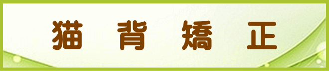 猫背矯正