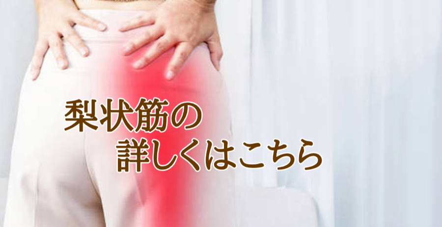 梨状筋の詳細