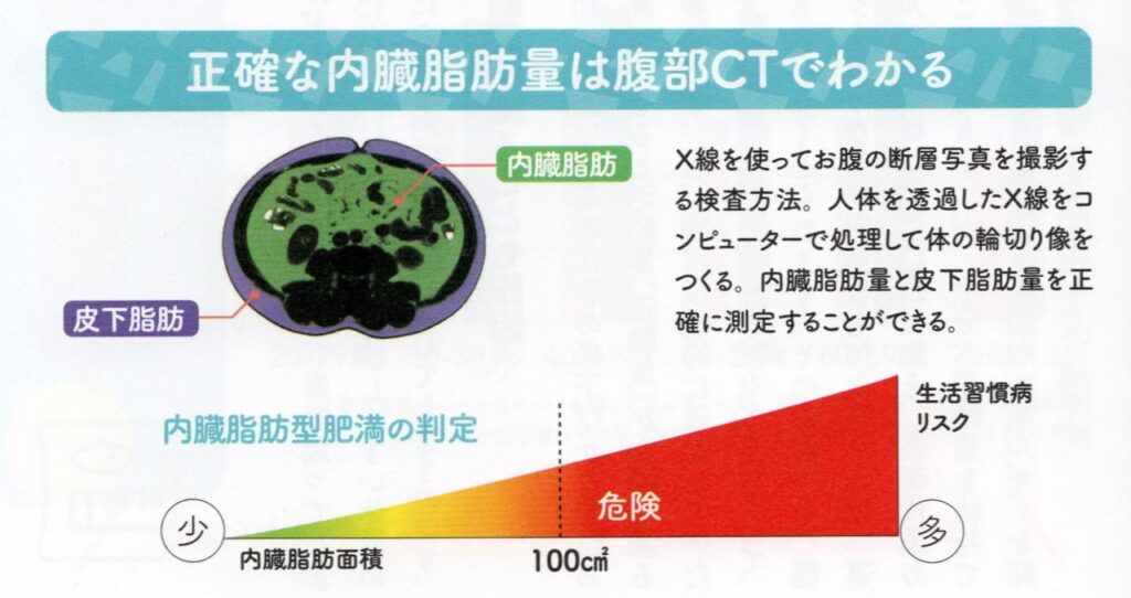 CTで正しい体脂肪率を測る