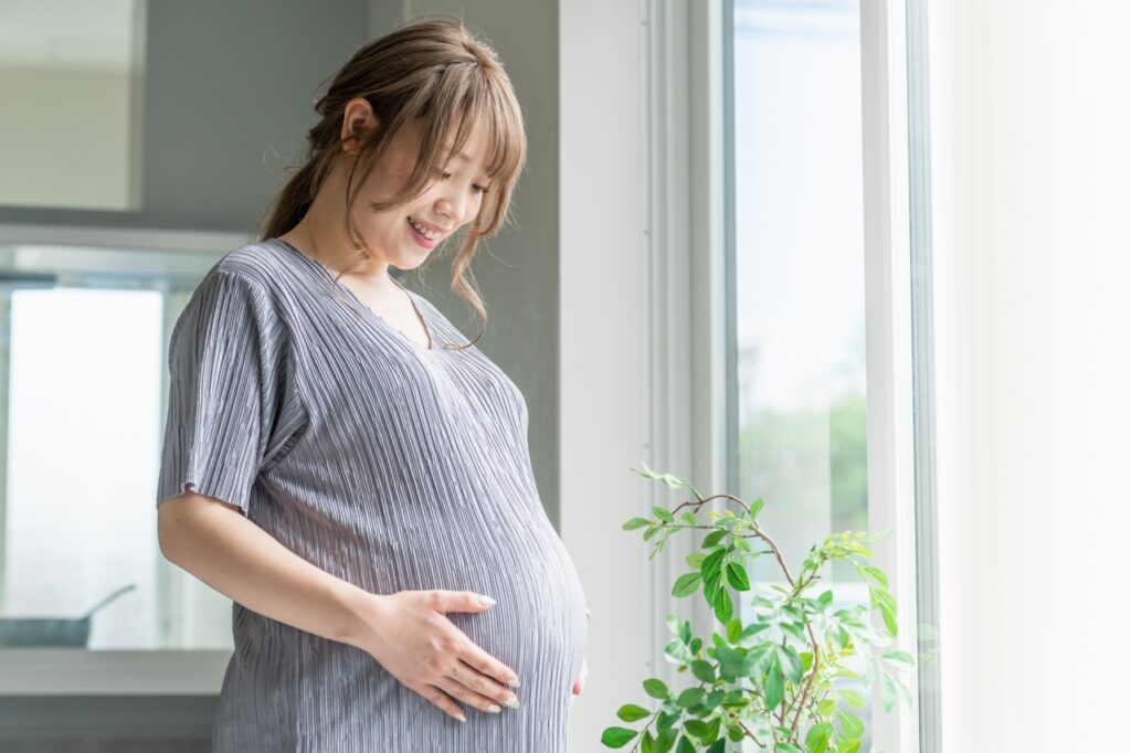 妊娠と出産に備える皮下脂肪