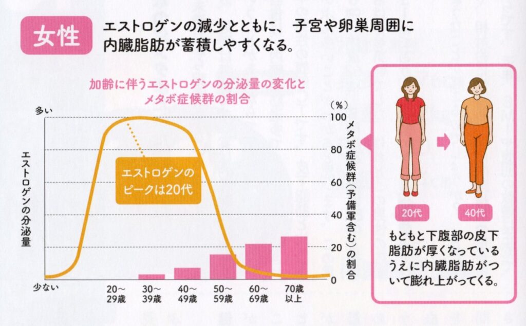 エストロゲンの年代別分泌量