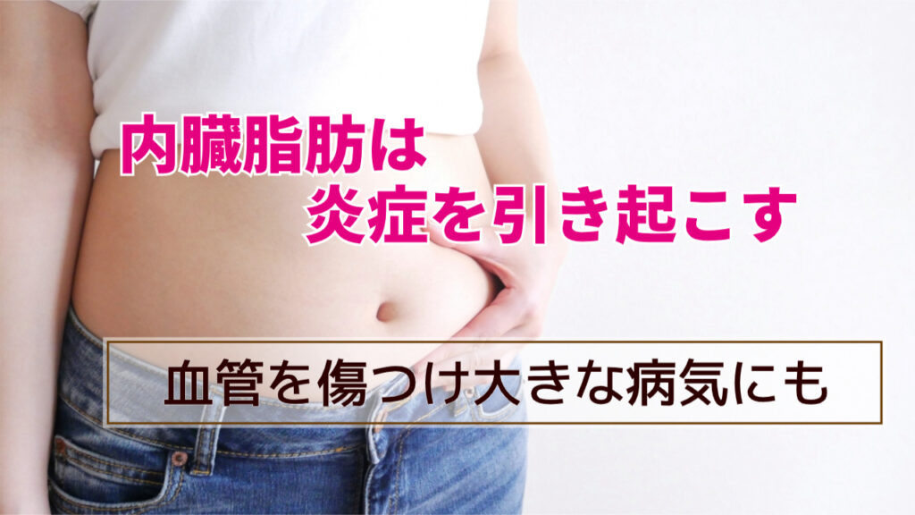 内臓脂肪は炎症を引き起こす