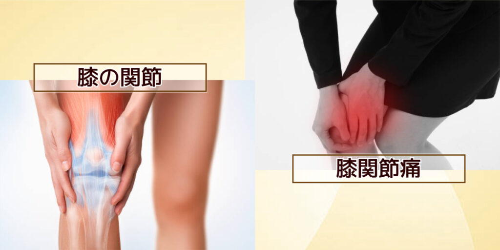 膝関節痛