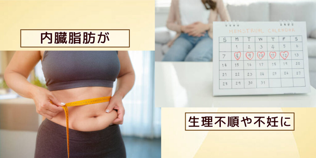 内臓脂肪が生理不順や不妊症を引き起こす