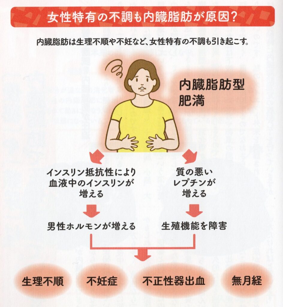 内臓脂肪で負のスパイラル