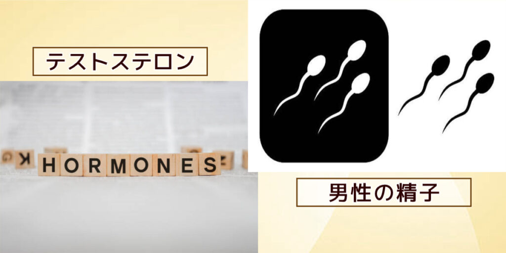男性の精子により妊娠しない可能性
