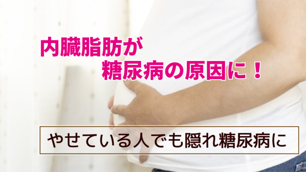 内臓脂肪が糖尿病の原因になる