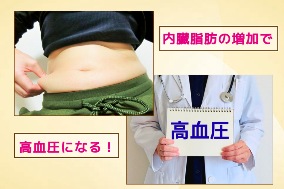 内臓脂肪で高血圧に