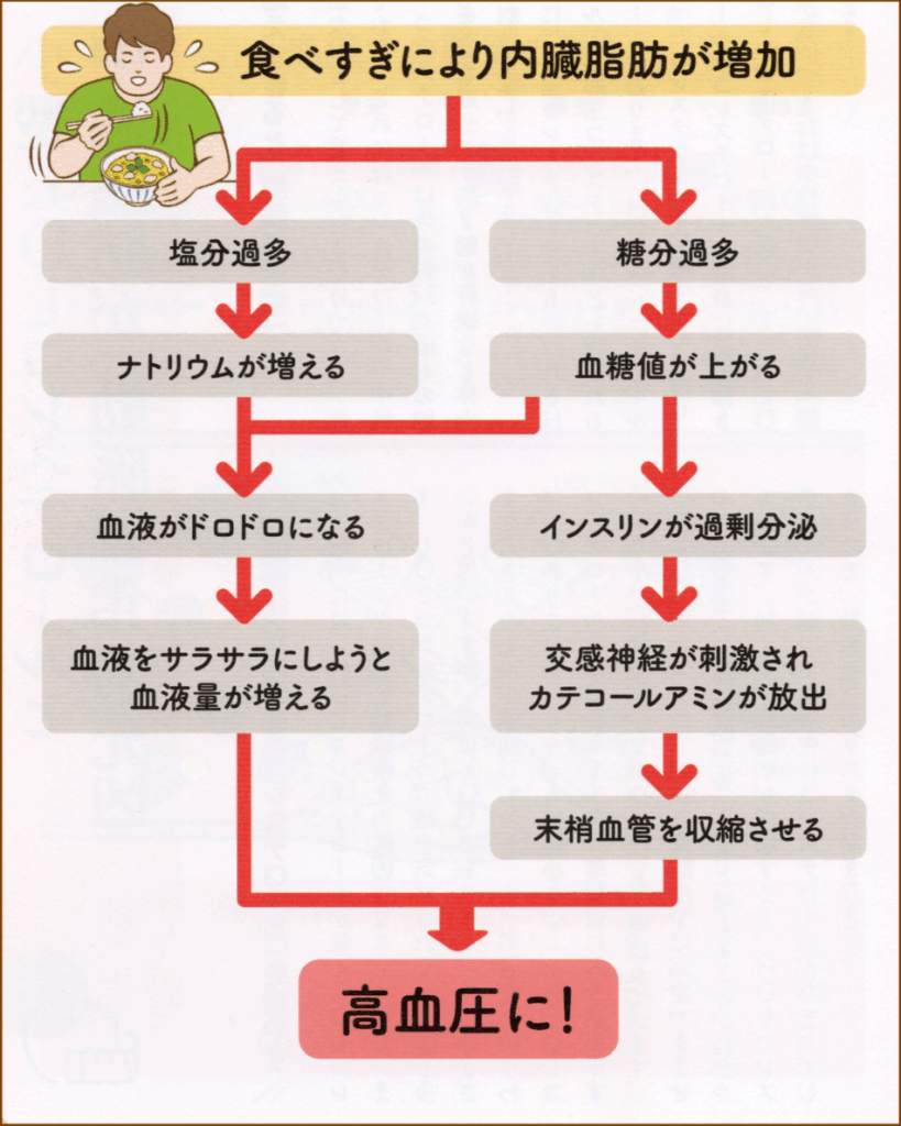 高血圧が起こる仕組み