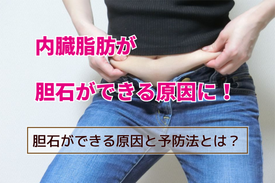 内臓脂肪が胆石になる原因に