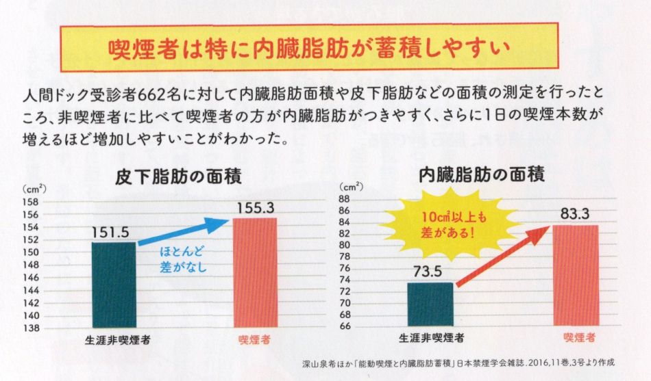 内臓脂肪が蓄積されやすい