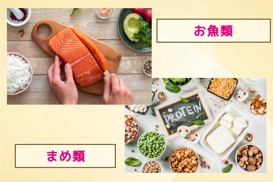 タンパク質のお魚と豆類