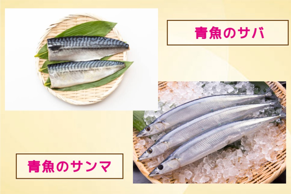 サバとサンマ