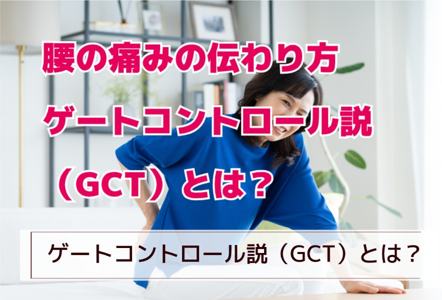 腰痛はどう伝達される？ゲートコントロール説（GCT）とは？
