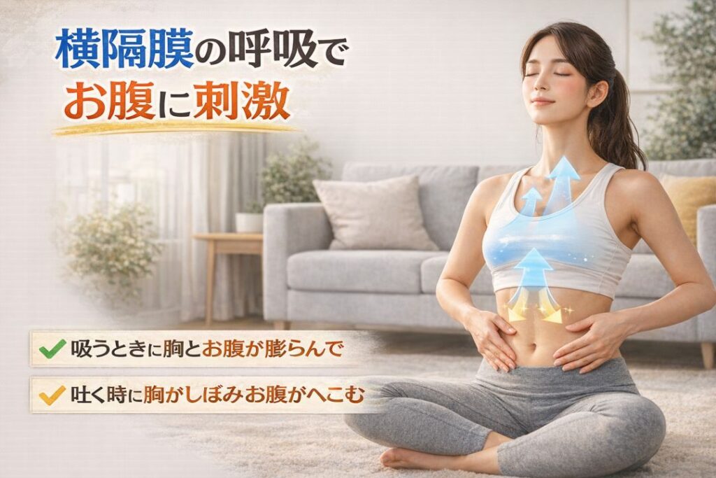 横隔膜の呼吸でお腹に刺激
吸うときに胸とお腹が膨らんで
履くときに胸がしぼみお腹がへこむ