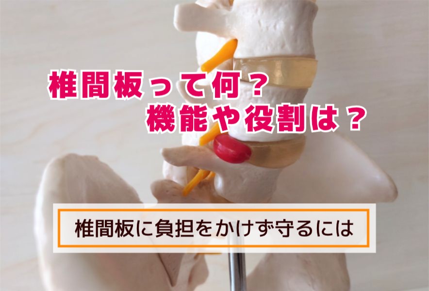椎間板って何？機能や役割は？椎間板に負担をかけず守るには