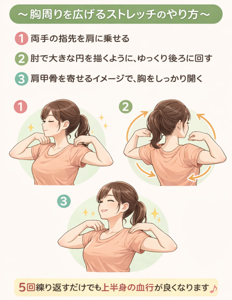 胸周りを広げるストレッチのやり方①両手の指先を肩に乗せる②肘で大きな円を描くように、ゆっくり後ろに回す③肩甲骨を寄せるイメージで、胸をしっかり開く5回繰り返すだけでも上半身の血行が良くなります