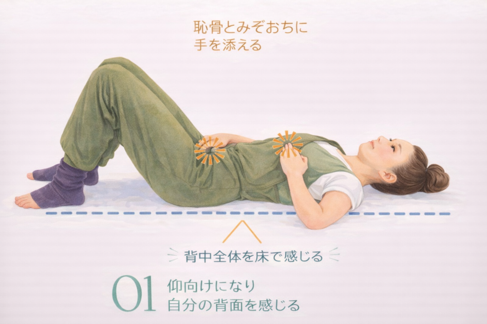 ①仰向けになり自分の背面を感じる恥骨とみぞおちに手を添える背中全体で床を感じましょう。