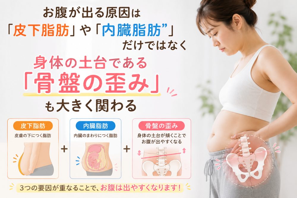 お腹が出る原因は「皮下脂肪」や「内臓脂肪」だけではなく、体の土台である「骨盤のゆがみ」も大きくかかわる・皮下脂肪…皮膚の下につく脂肪・内臓脂肪…内臓のまわりにつく脂肪・骨盤のゆがみ…身体の土台が傾くことでお腹が出やすくなる☆3つの要因が重なることで、お腹は出やすくなります