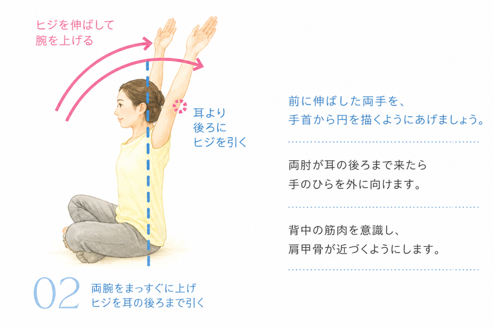 前に伸ばした両手を、手首から円を描くようにあげましょう。両肘が耳の後ろまで来たら手のひらを外に向けます。背中の筋肉を意識し、肩甲骨が近づくようにします。