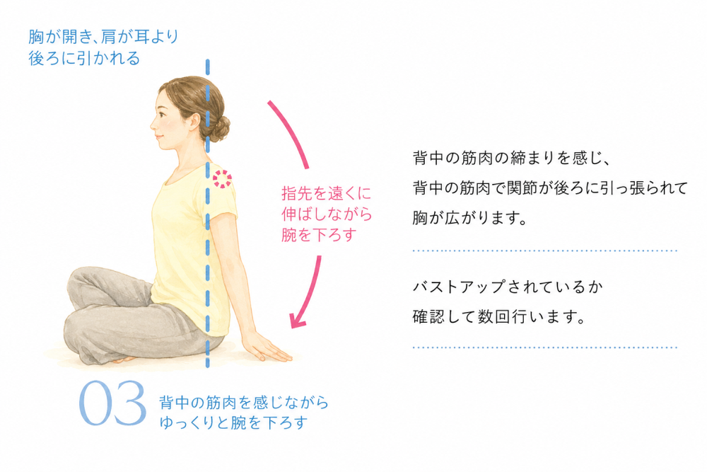 背中の筋肉の締まりを感じ、背中の筋肉で関節が後ろに引っ張られて胸が広がります。バストアップされているか確認して数回行います。
