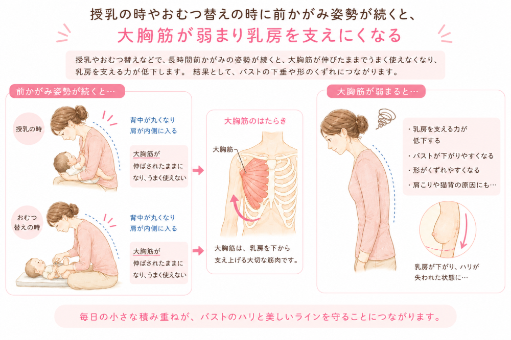☆授乳の時やおむつがえの時に前かがみ姿勢が続くと、大胸筋が弱まり乳房を支えにくくなる・授乳やおむつ替えなどで長時間前かがみの姿勢が続くと、大胸筋が伸びたままでうまう使えなくなり、乳房を支える力が低下します。結果として、バストの下垂や形の崩れにつながります。