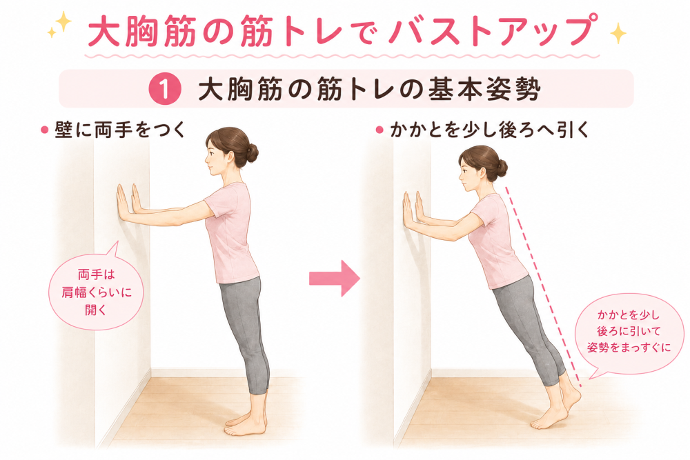 ★大胸筋の筋トレでバストアップ①大胸筋の筋トレの基本姿勢●壁に両腕をつく手のひらは肩幅くらいに開く●かかとを少し後ろへ引くかかとを少し後ろに引いて姿勢をまっすぐに