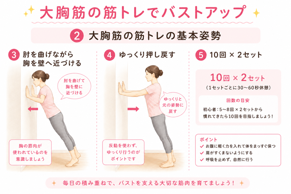 ★大胸筋の筋トレでバストアップ②大胸筋の筋トレの基本姿勢から③肘を投げながら胸を壁に近づける・肘を曲げて胸を壁に近づける・胸の筋肉が使われているのを意識しましょう④ゆっくり押し戻す・ゆっくりと元の姿勢に戻す・反動を使わず、ゆっくり行うのがポイントです⑤１０回×２セット（１セットごとに30～60秒休憩）●回数の目安初心者：5～8回×2セットから慣れてきたら10回を目指しましょう！●ポイント・お腹に軽く力を入れてまっすぐ保つ・肩がすくまないようにする・呼吸を止めず、自然に行う