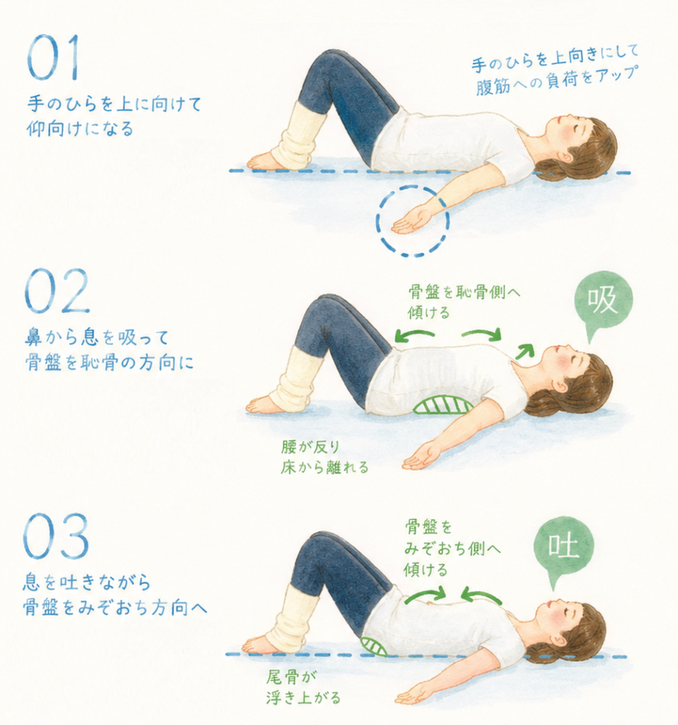 ①手のひらを上に向けて仰向けになる・手のひらを上向きにして腹筋への負荷をアップ②鼻から息を吸って骨盤を恥骨の方向に・骨盤を恥骨側へ傾ける・腰が反り床から離れる③息を吐きながら骨盤をみぞおち方向へ・骨盤をみぞおち方向へ傾ける・鼻骨が浮き上がる