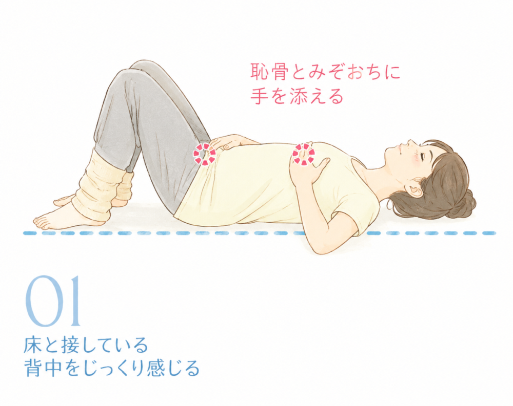 01:床と接している背中をじっくり感じる恥骨とみぞおちに手を添える
