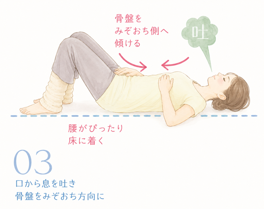 03:口から息を吐き骨盤をみぞおち方向に・骨盤をみぞおち側へ傾ける・腰がぴったり床に着く
