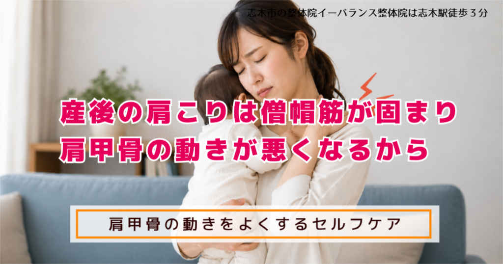 産後の肩こりは僧帽筋が固まり肩甲骨の動きが悪くなるから 肩甲骨の動きをよくするセルフケア 志木の整体院イーバランス整体院は志木駅徒歩３分