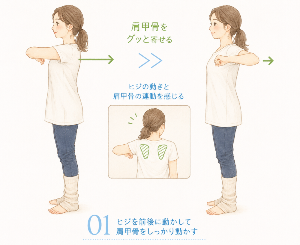 ①ヒジを前後に動かして肩甲骨をしっかり動かす・肩甲骨をグッと寄せる・肘の動きと肩甲骨の連動を感じる